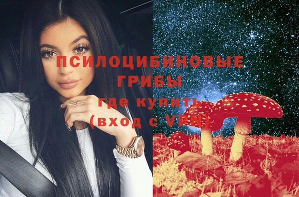 шишки Белокуриха