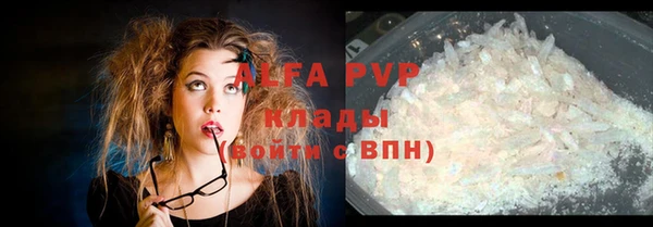 шишки Белокуриха