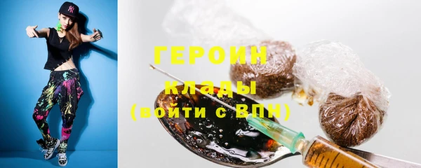 шишки Белокуриха
