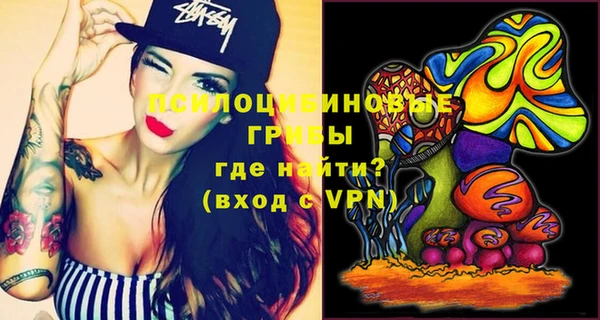 шишки Белокуриха
