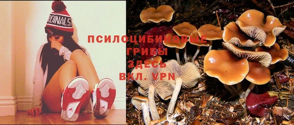 хмурый Беломорск