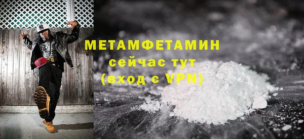 шишки Белокуриха