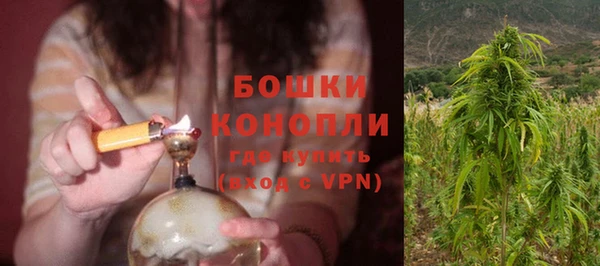 гидропоника Белоозёрский