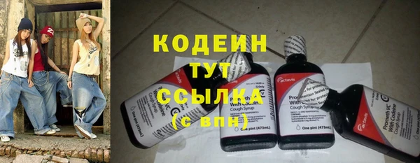 шишки Белокуриха