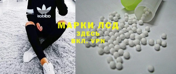 шишки Белокуриха