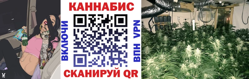 Шишки марихуана Amnesia  как найти закладки  Шарыпово 